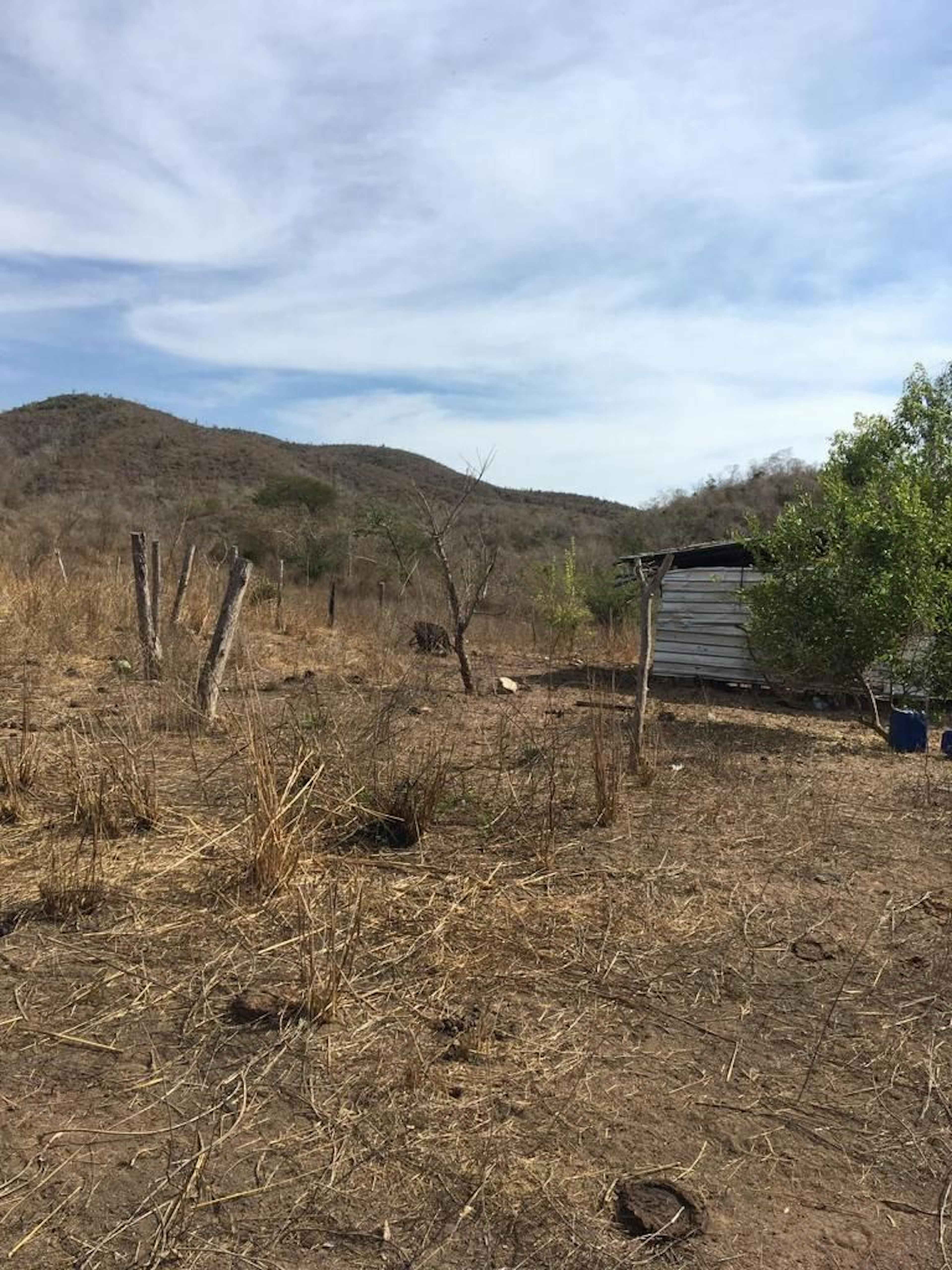 Terreno En Venta Uso Agrícola Y Ganadero Cerca De Chamela