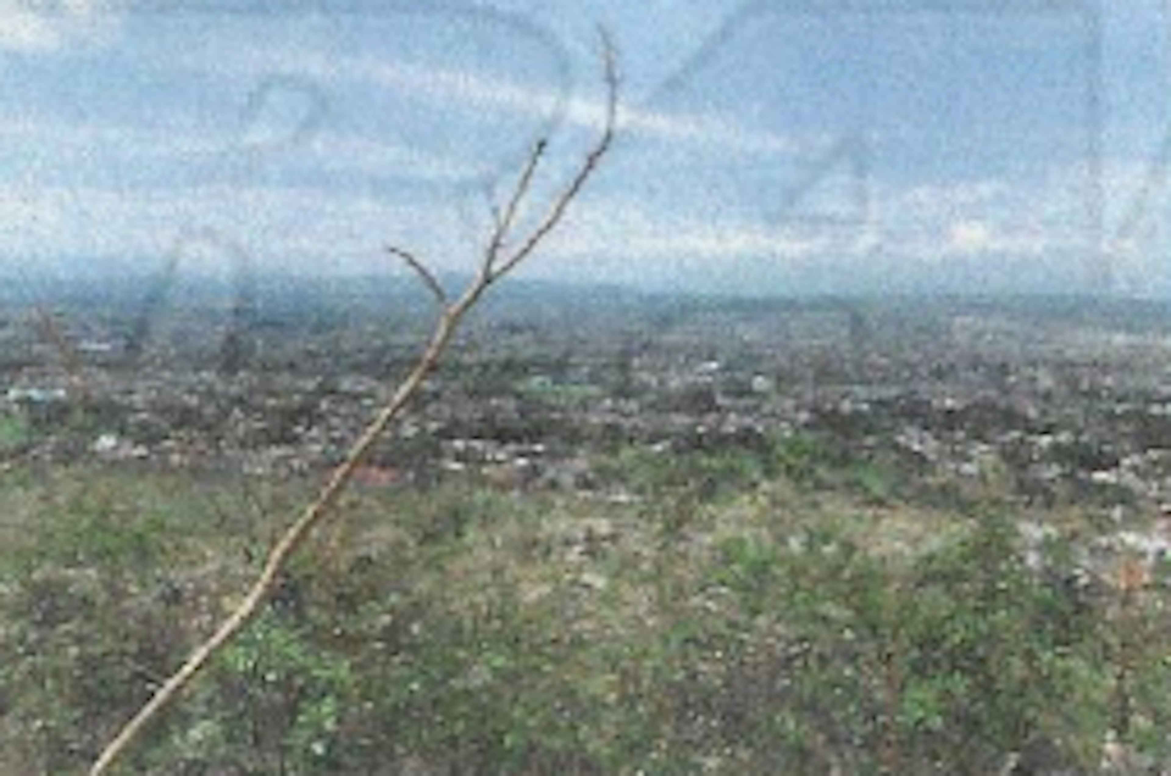 Los Escalones, Fracción 2