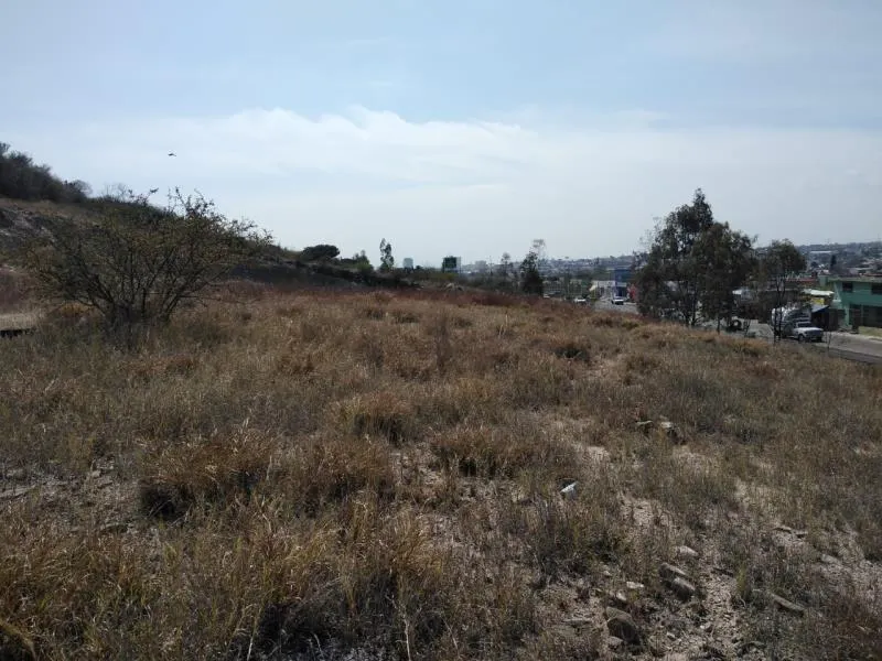 Terreno Spot2