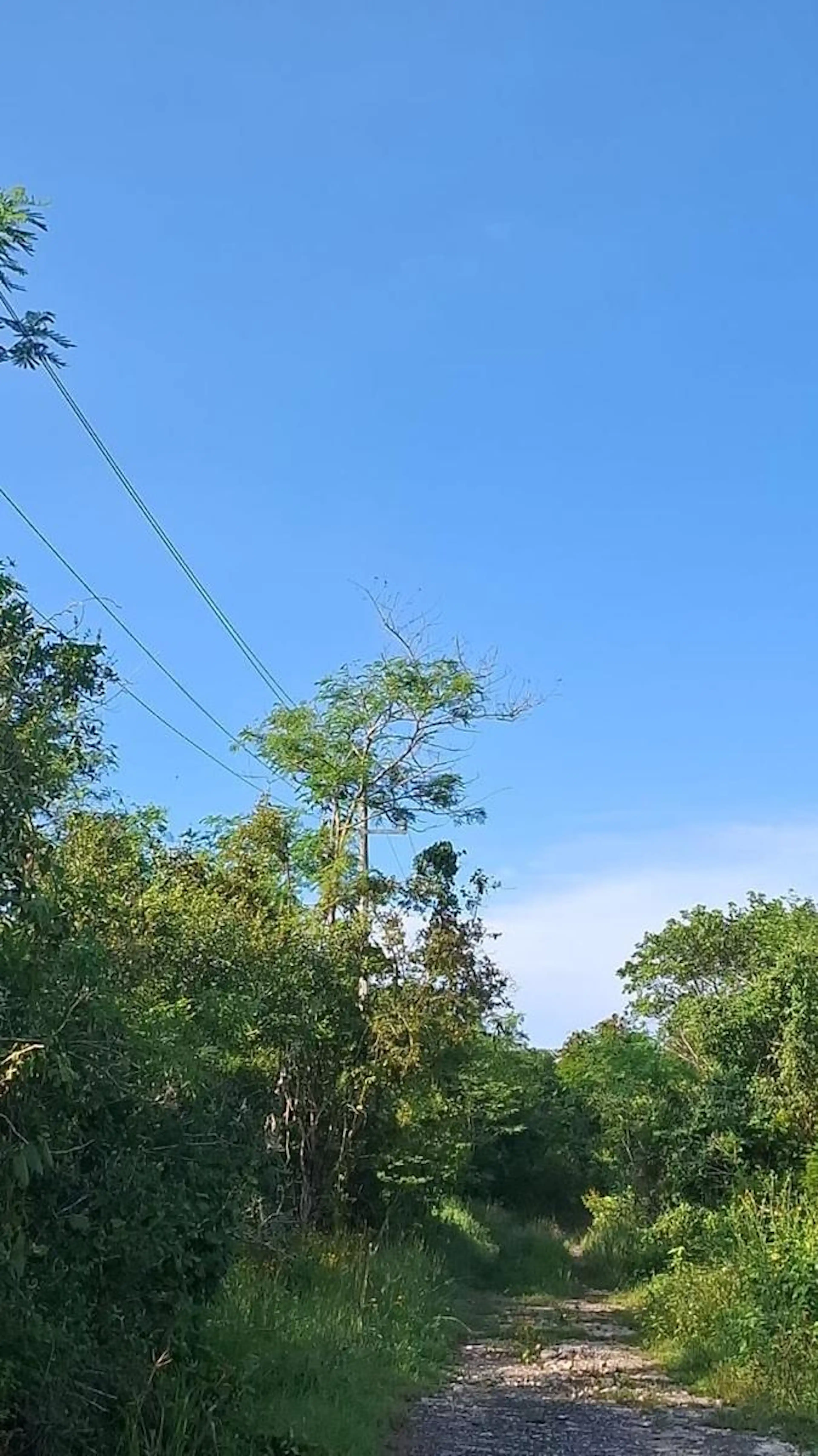 Terreno en venta en Mérida