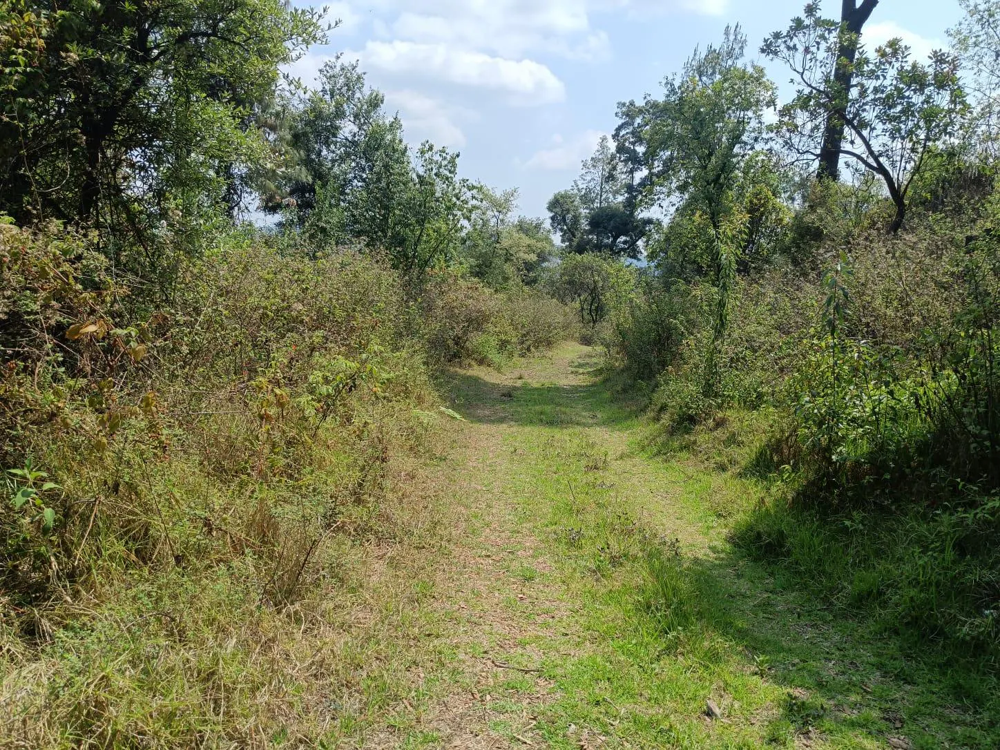 Terreno Spot2