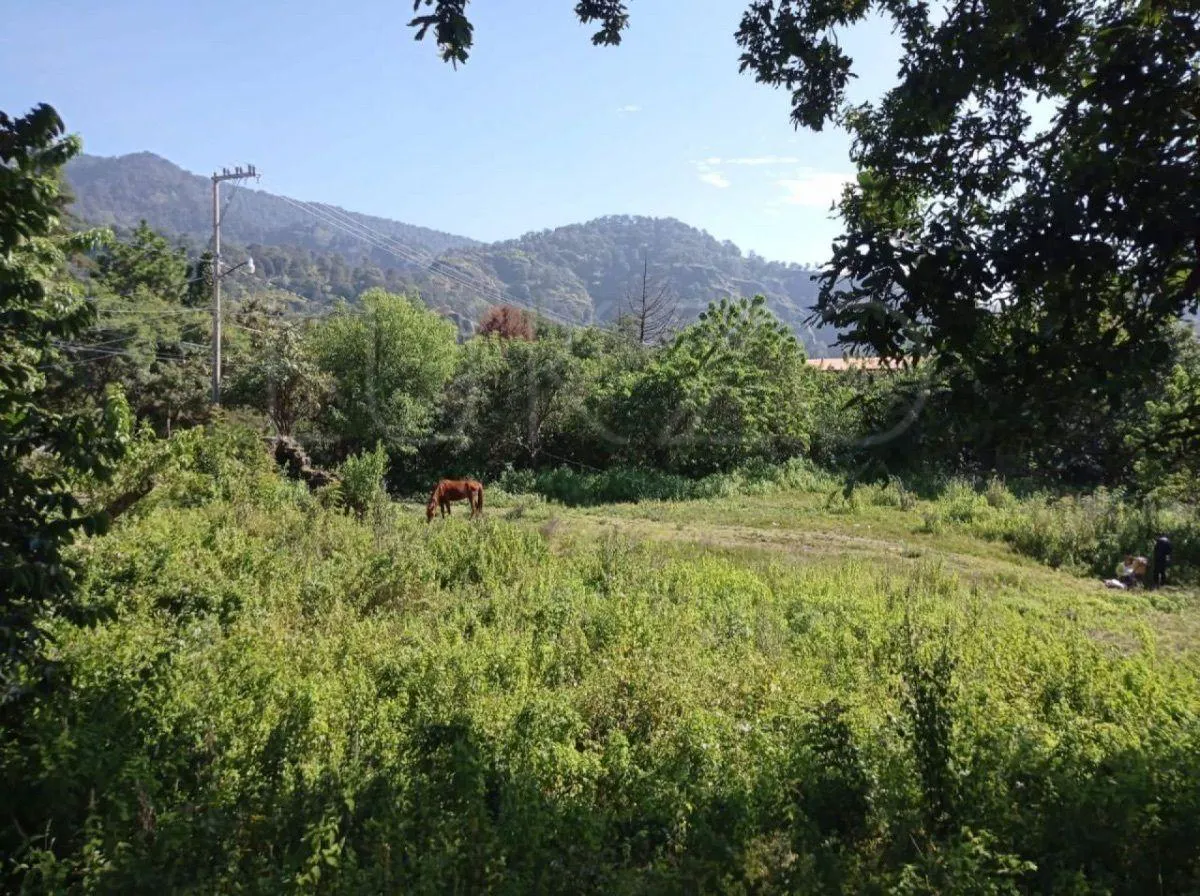 Terreno Spot2