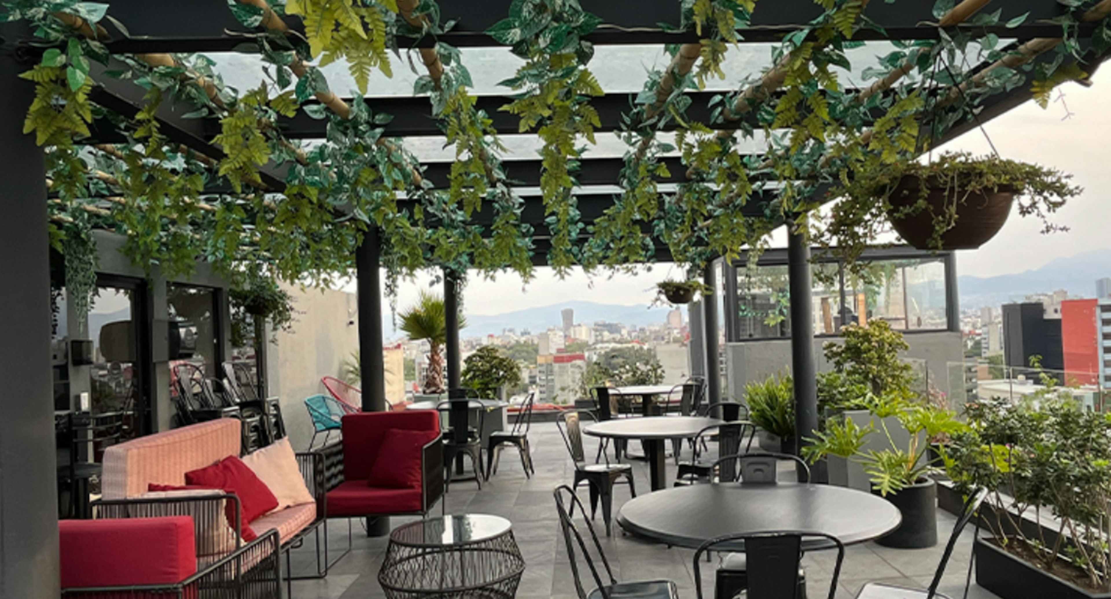 Avenida Chapultepec 480