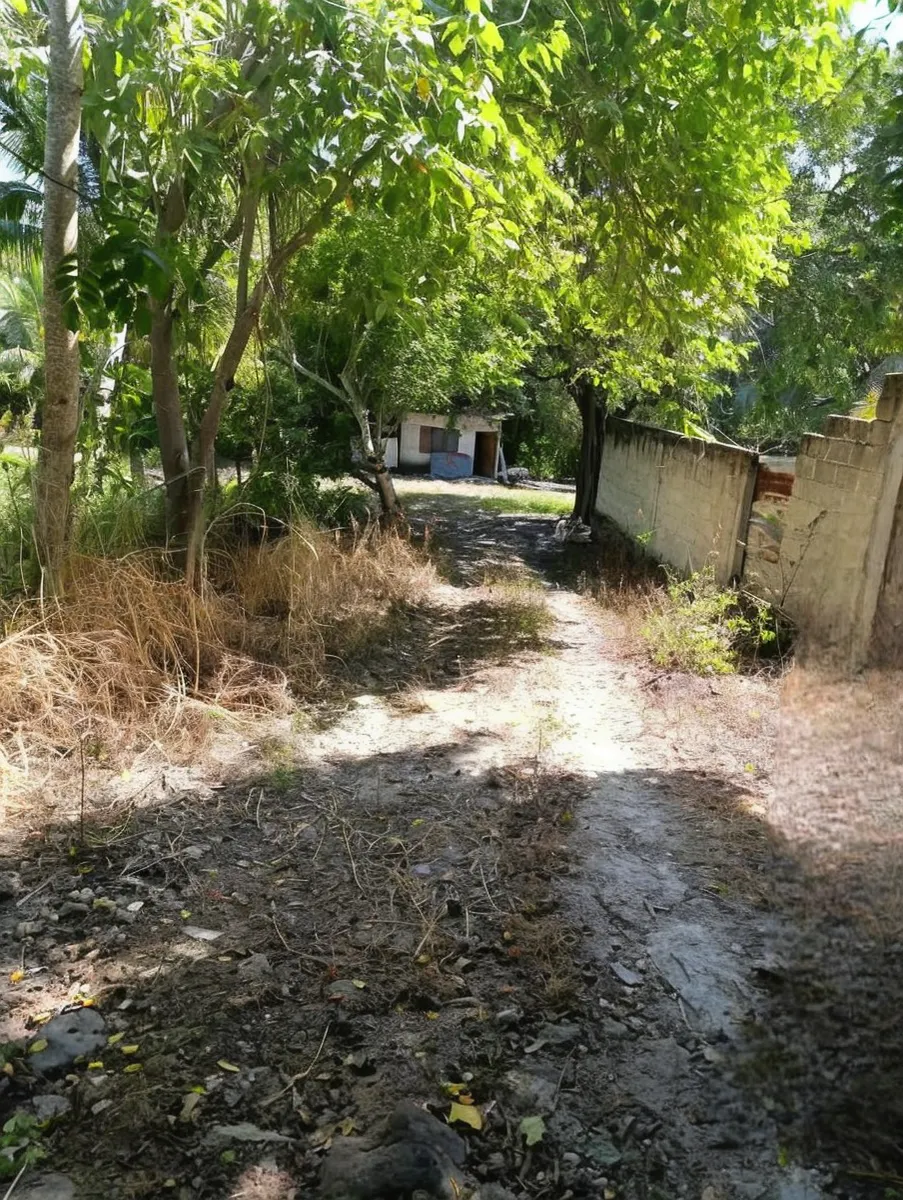 Terreno Spot2