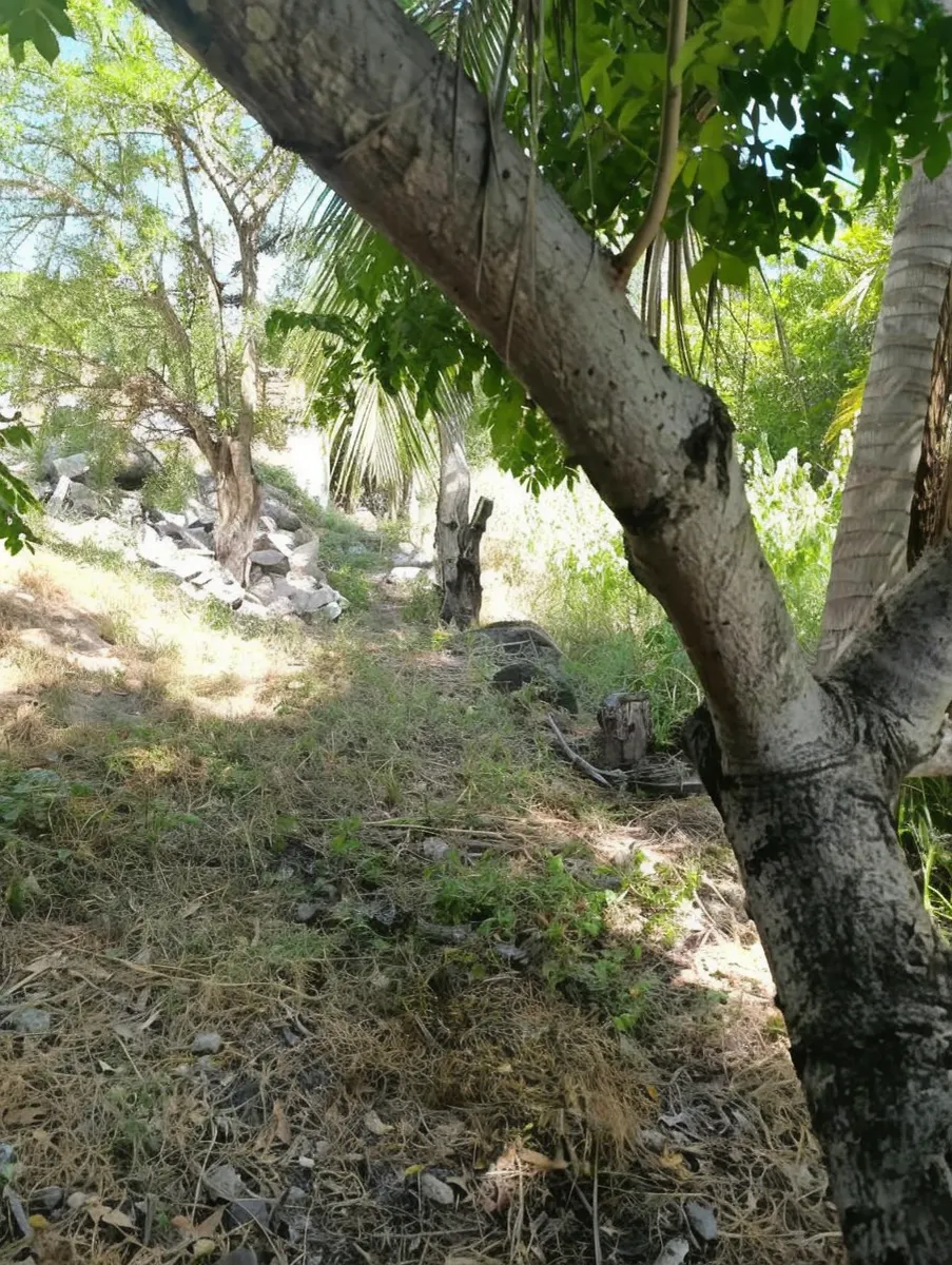 Terreno Spot2