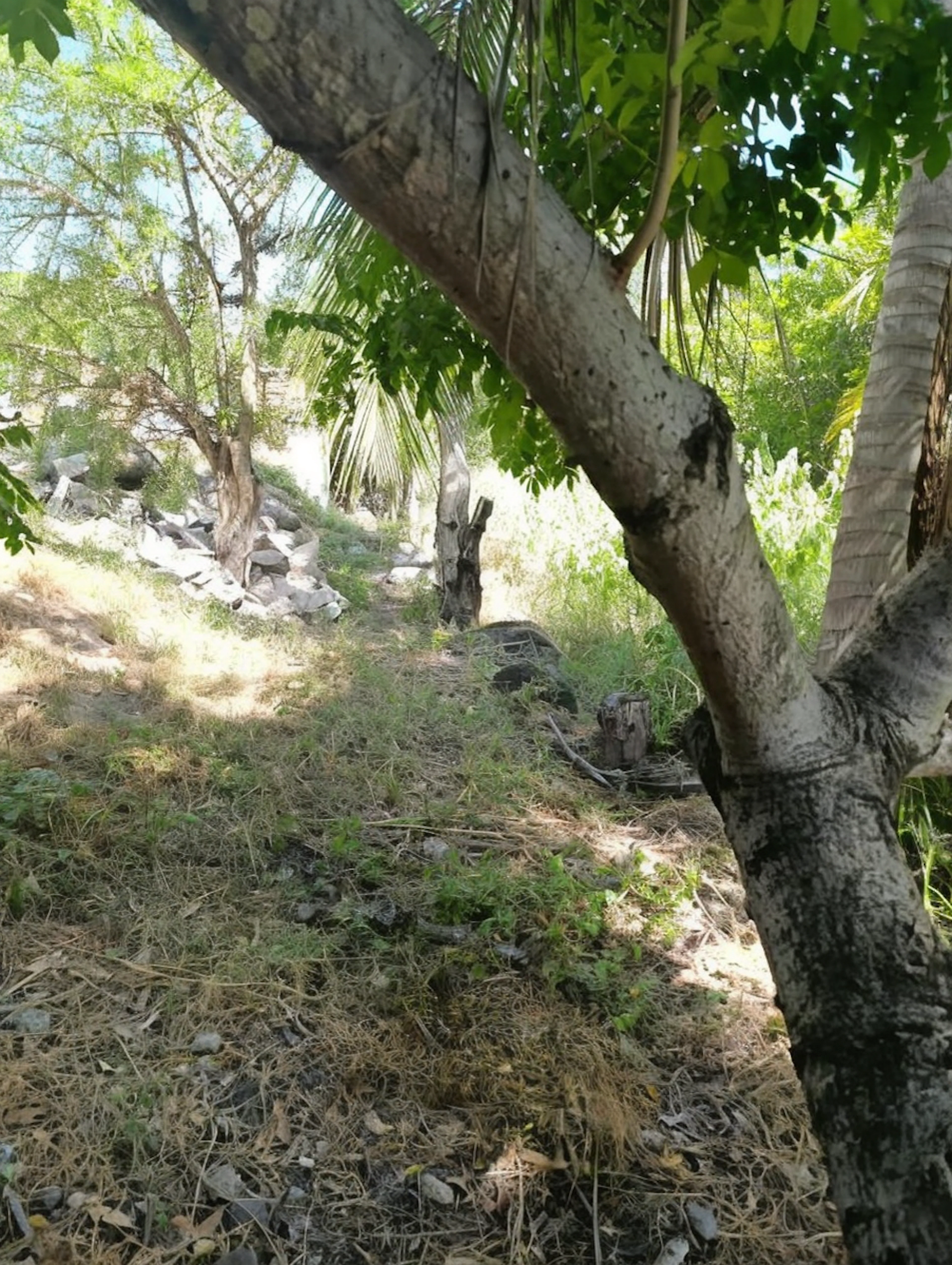 Terreno Spot2