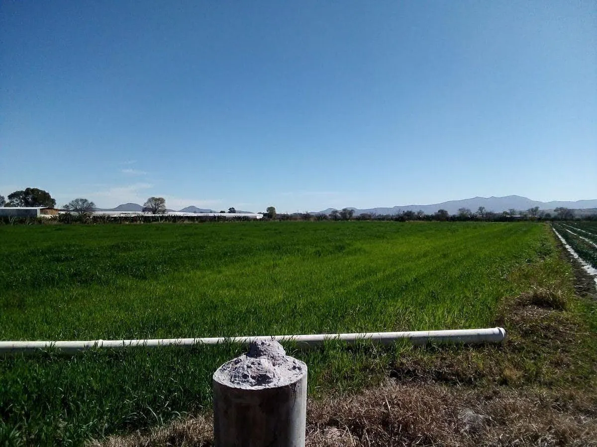 Terreno Spot2