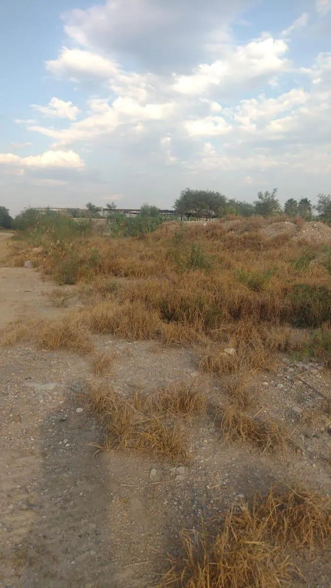 Terreno Spot2