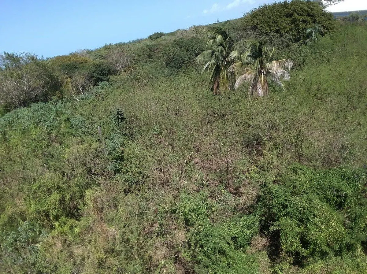 Terreno Spot2