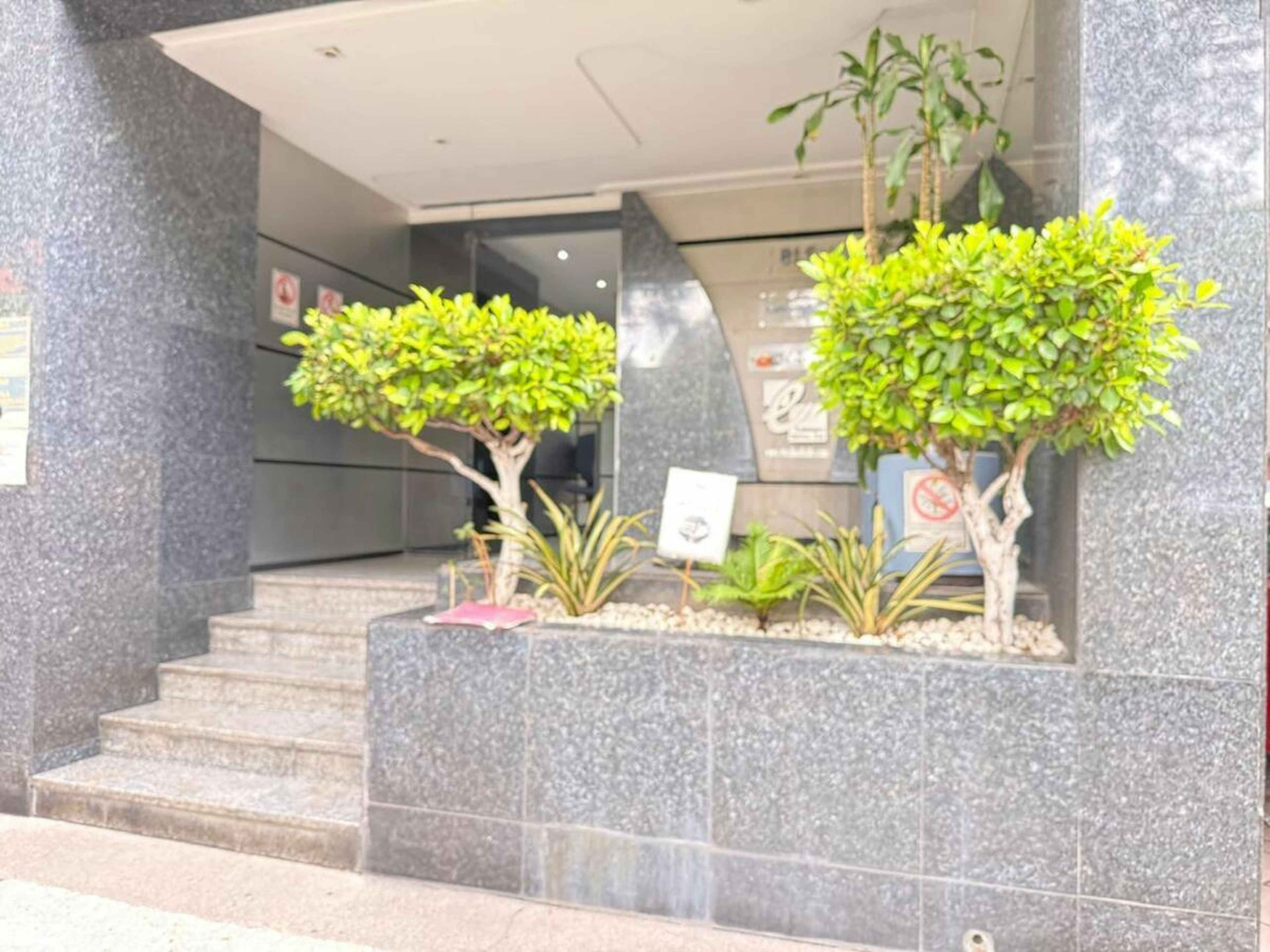 Avenida Ejército Nacional Mexicano 718