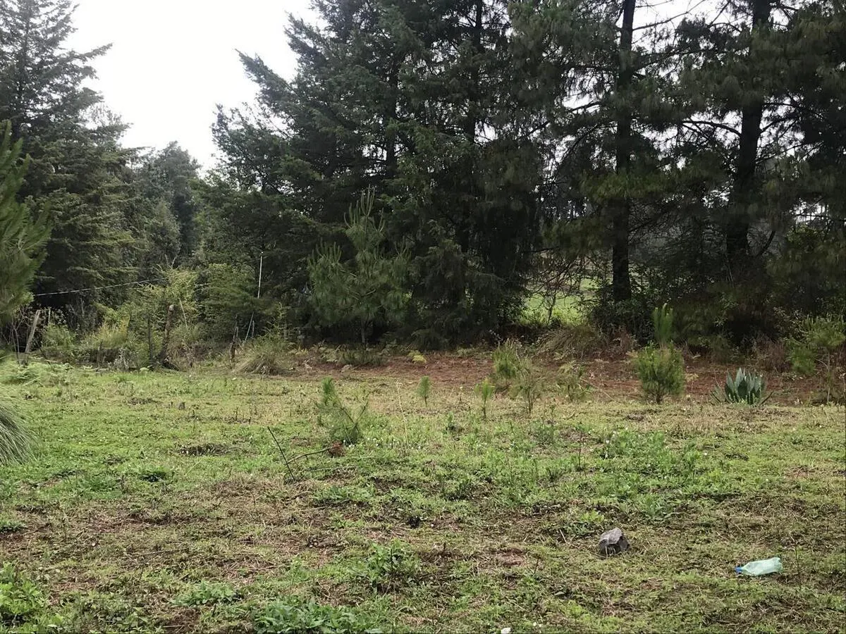 Terreno Spot2