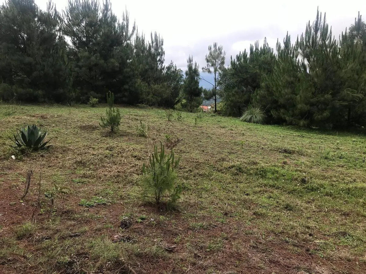 Terreno Spot2