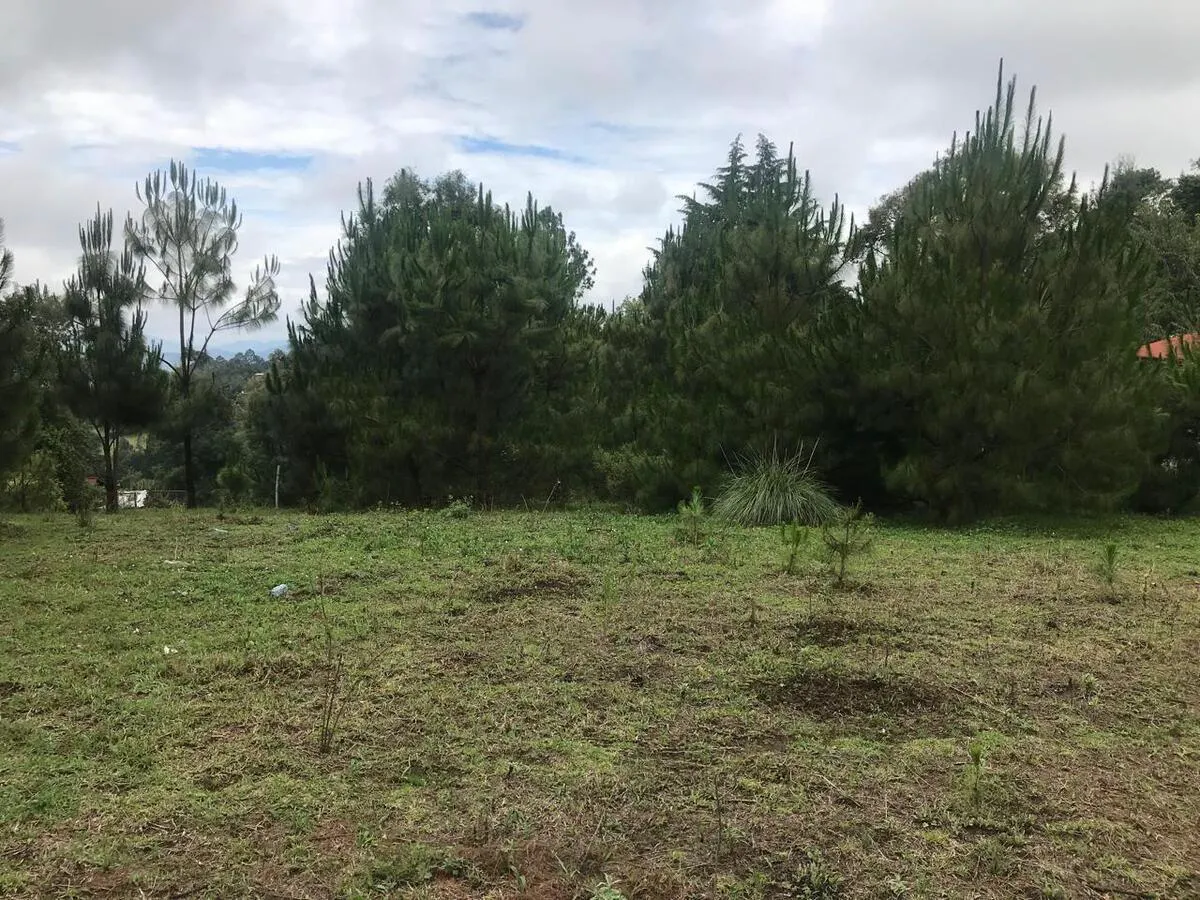 Terreno Spot2