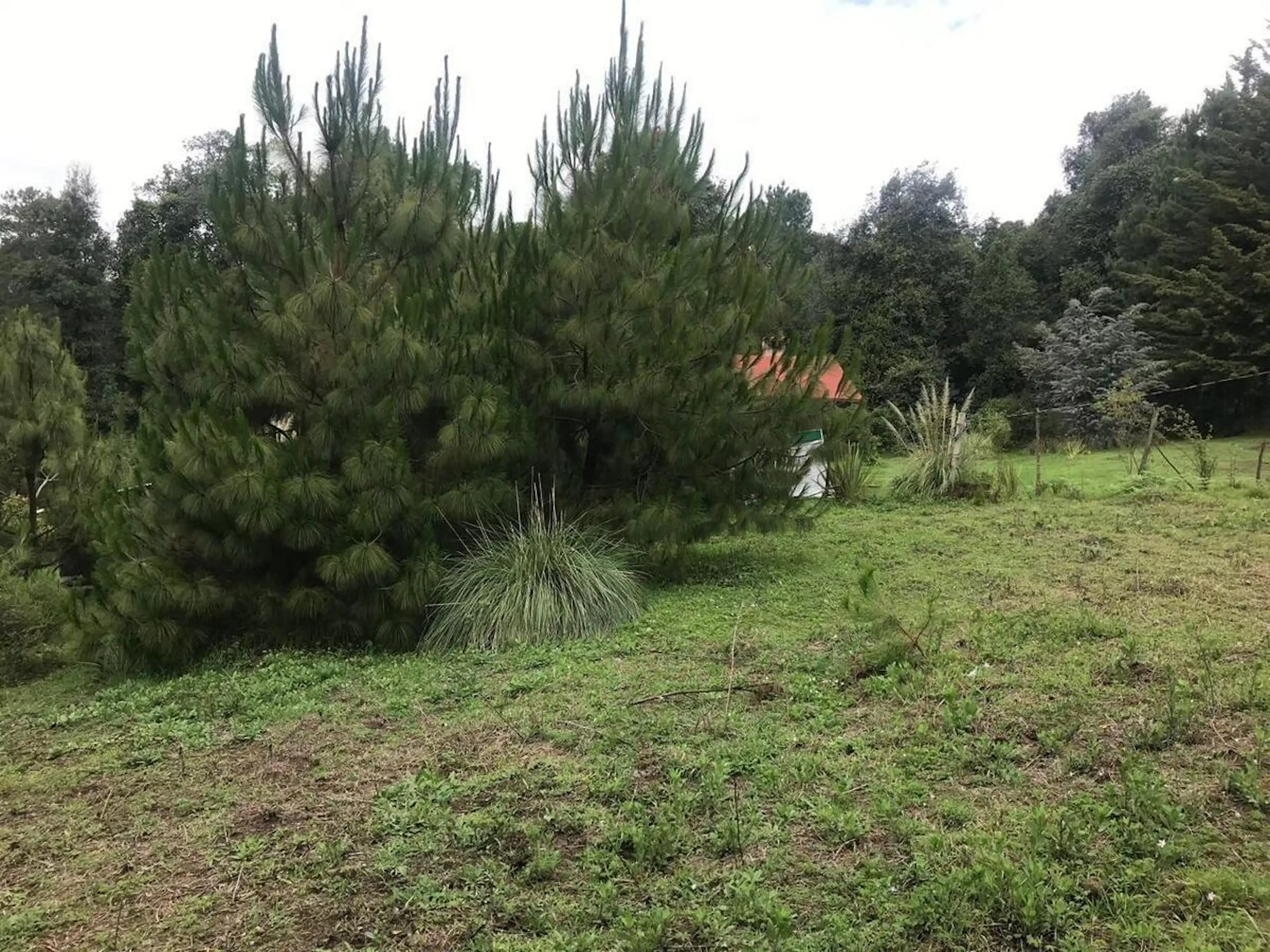 Terreno Plano en Mesa de Dolores