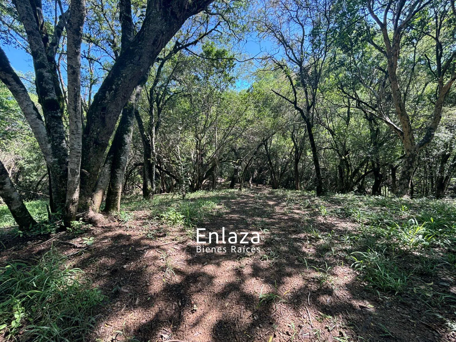 Terreno Spot2