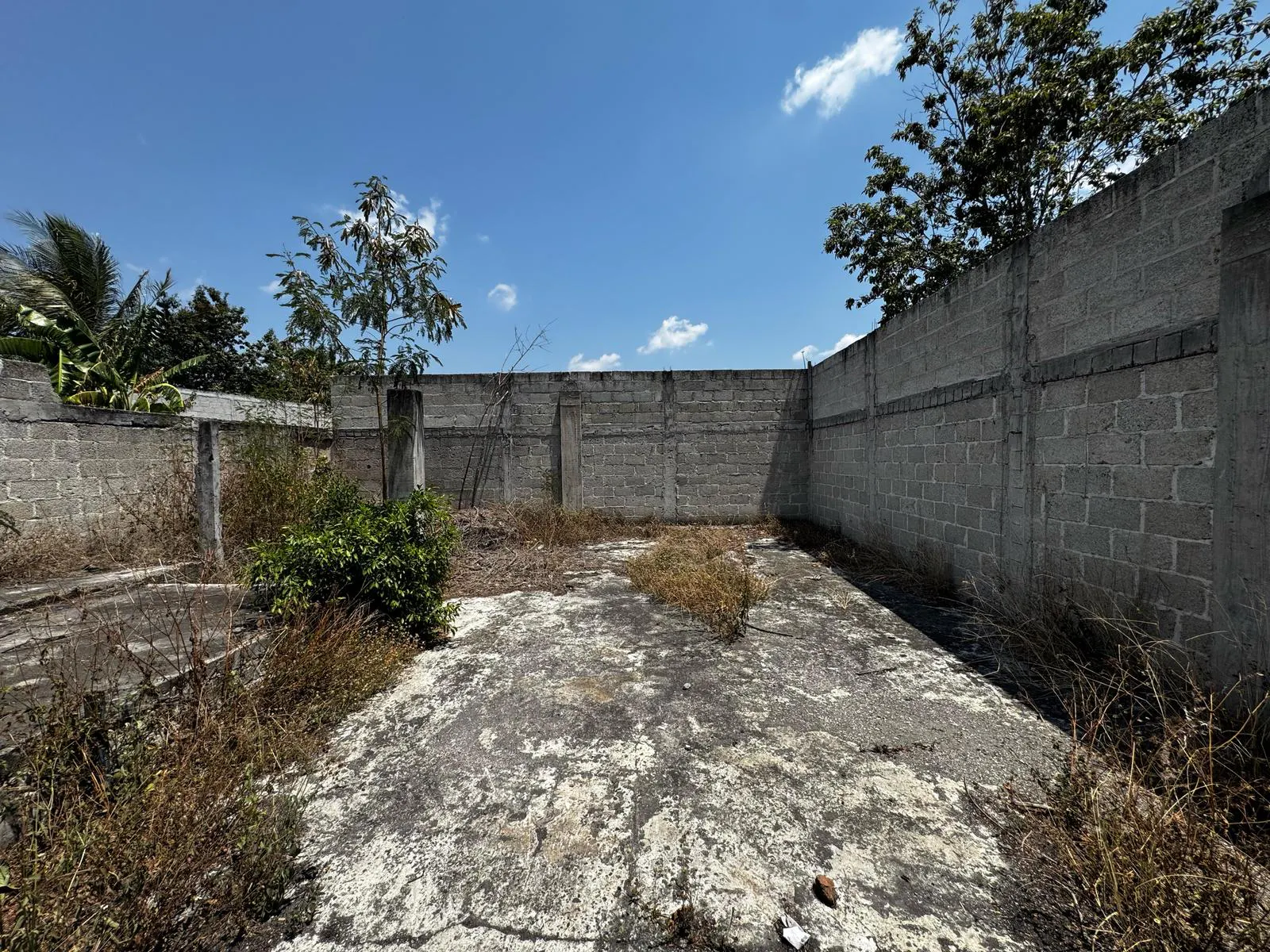 Terreno Spot2