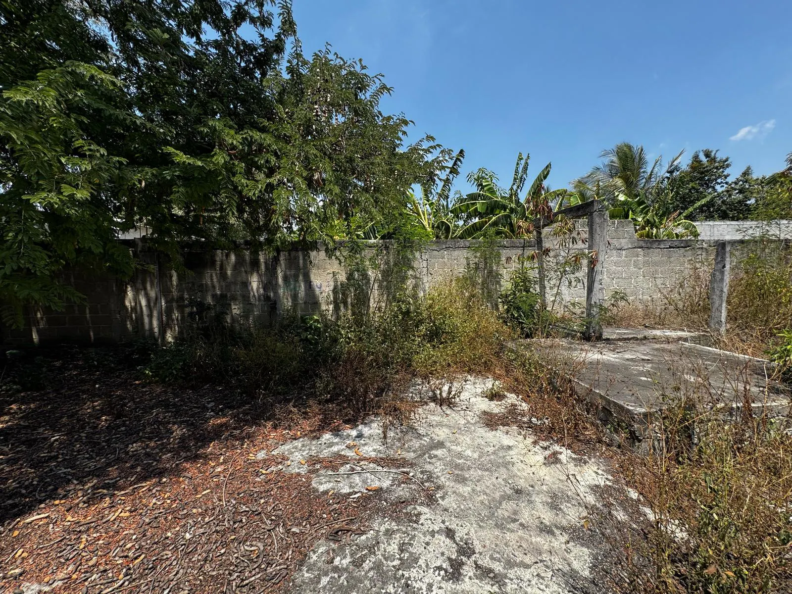 Terreno Spot2