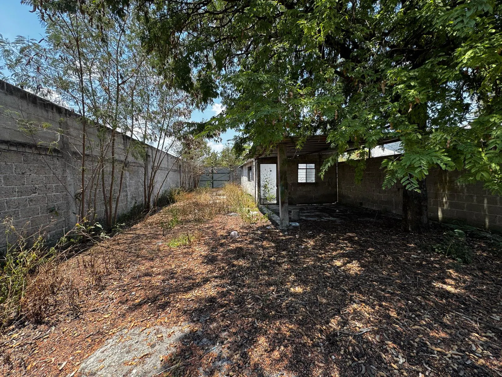 Terreno Spot2