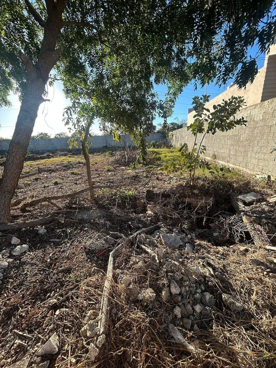 Terreno Spot2