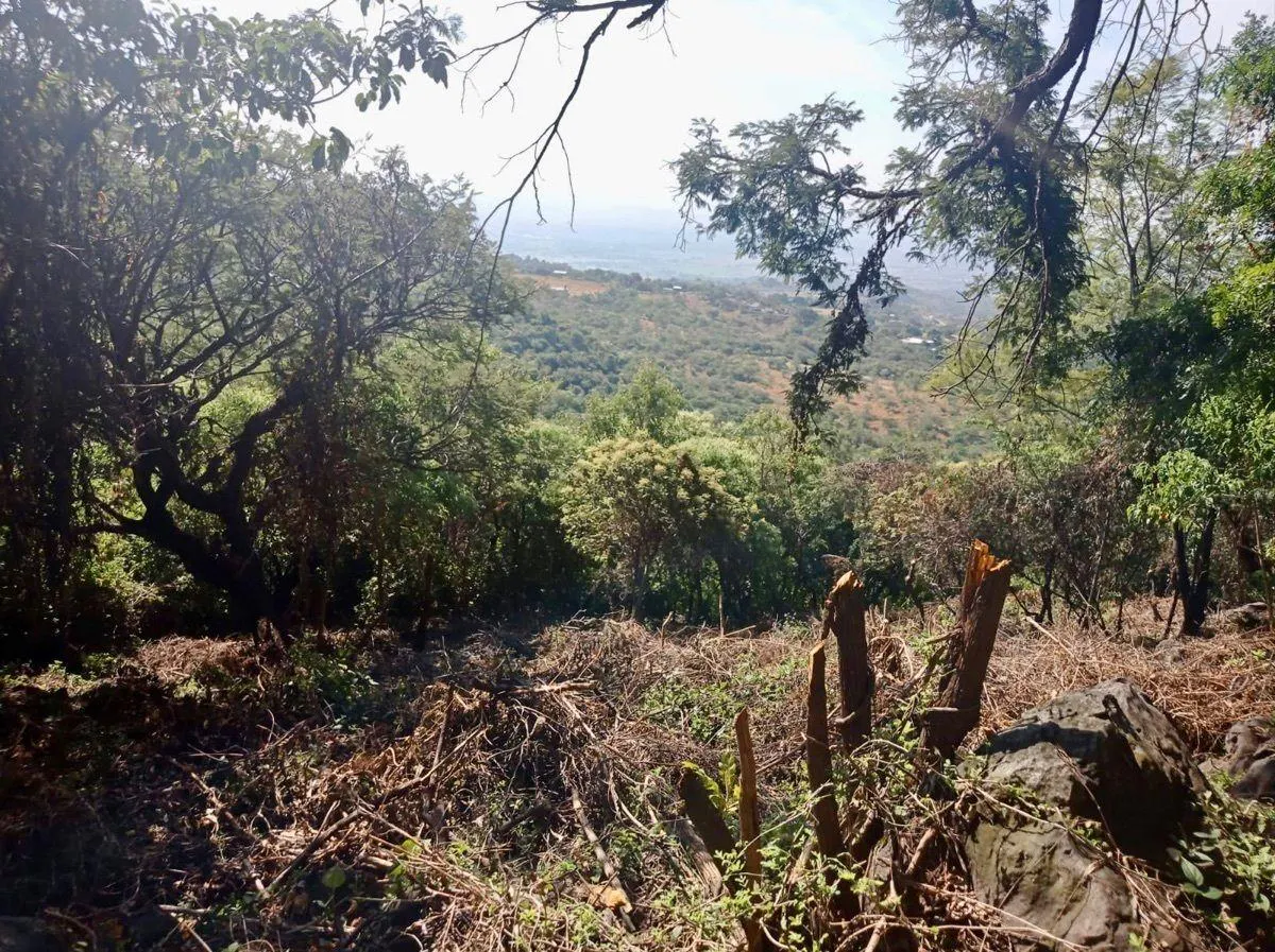 Terreno Spot2