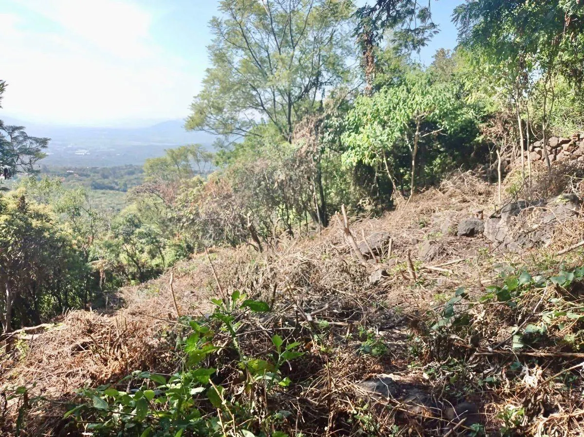 Terreno Spot2