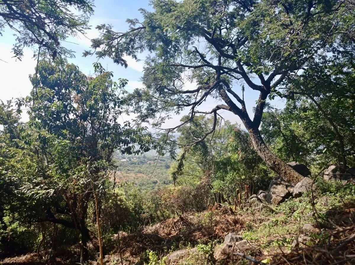 Terreno Spot2
