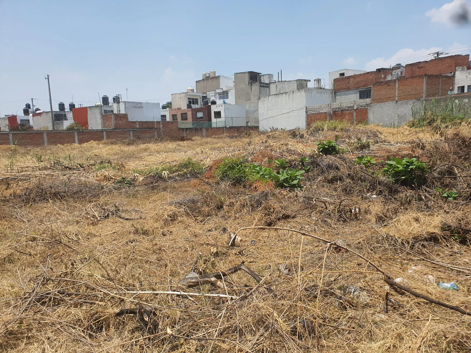 Terreno Spot2