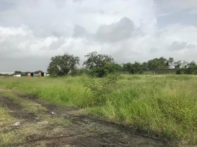 Terreno Spot2