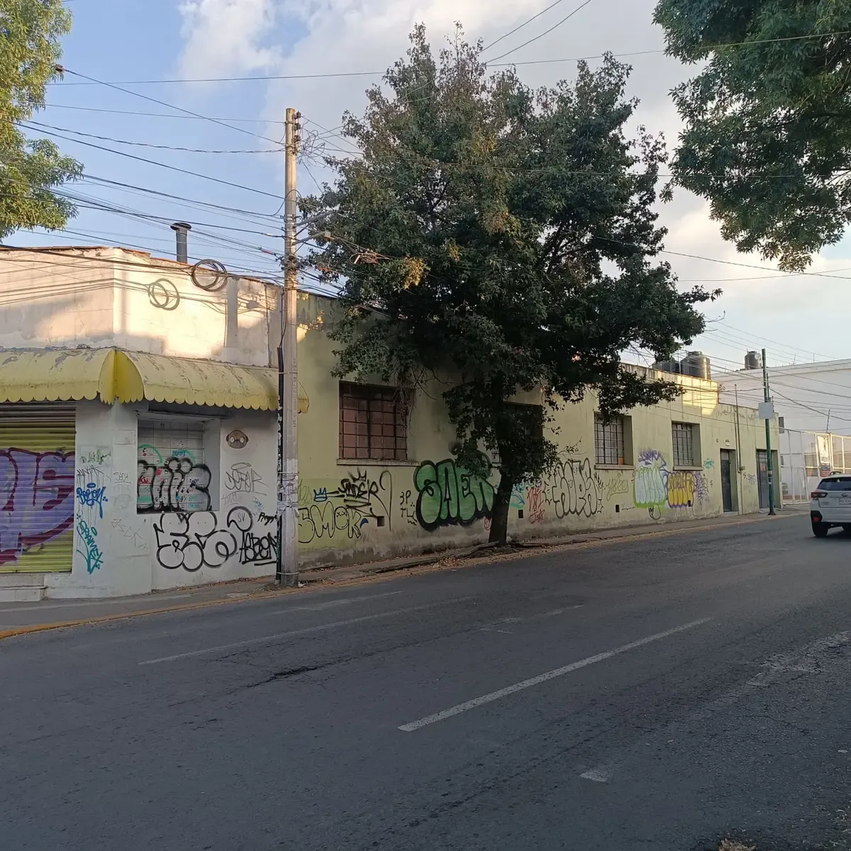 Terreno Spot2
