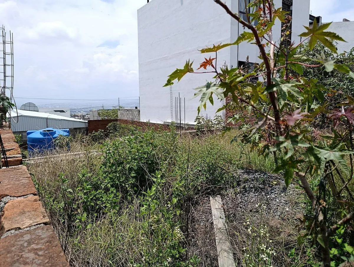 Terreno Spot2