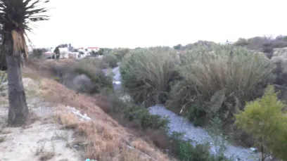 Terreno Spot2