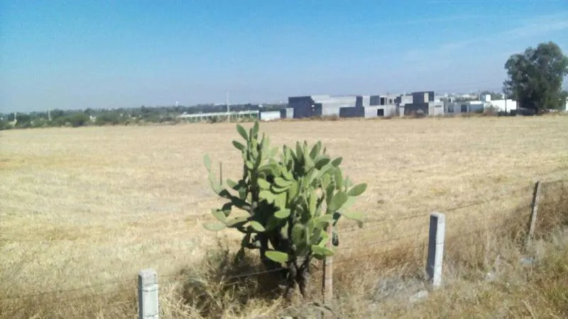 Terreno Spot2