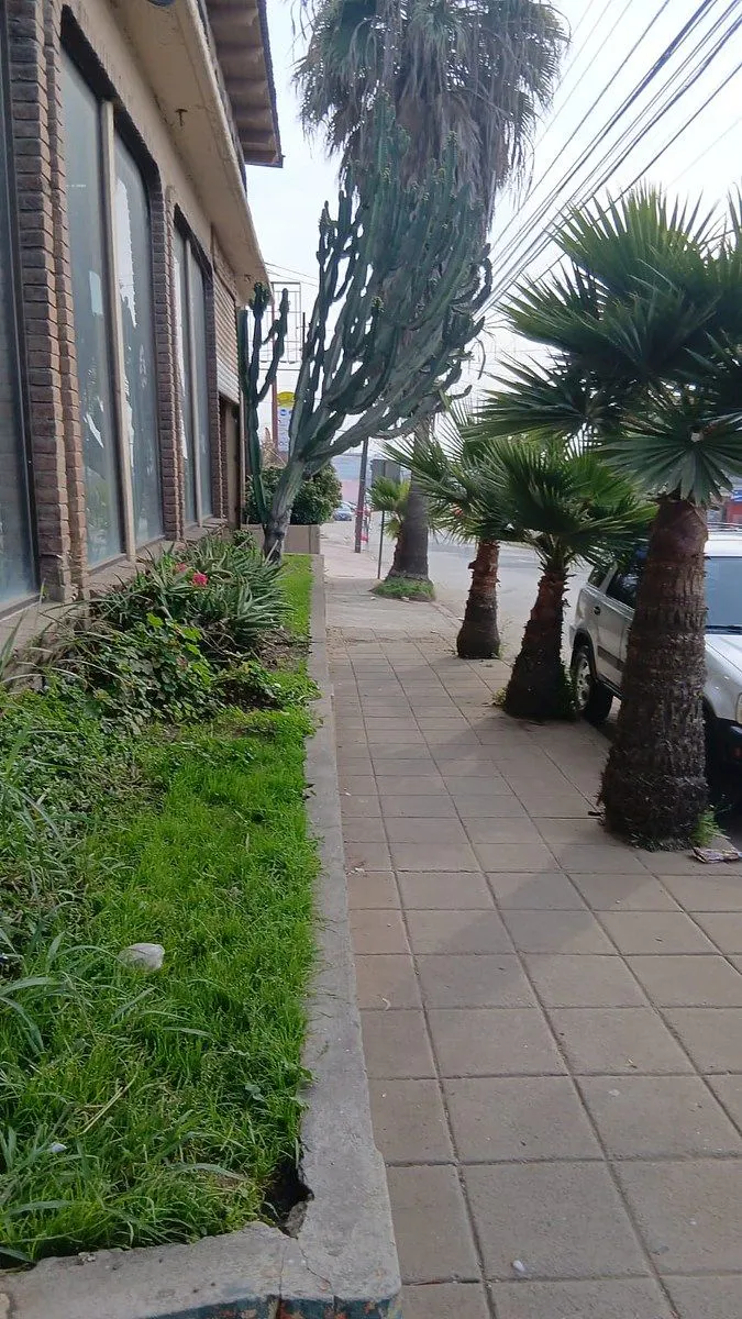 Local Comercial Spot2