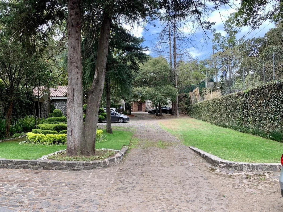 Terreno Spot2