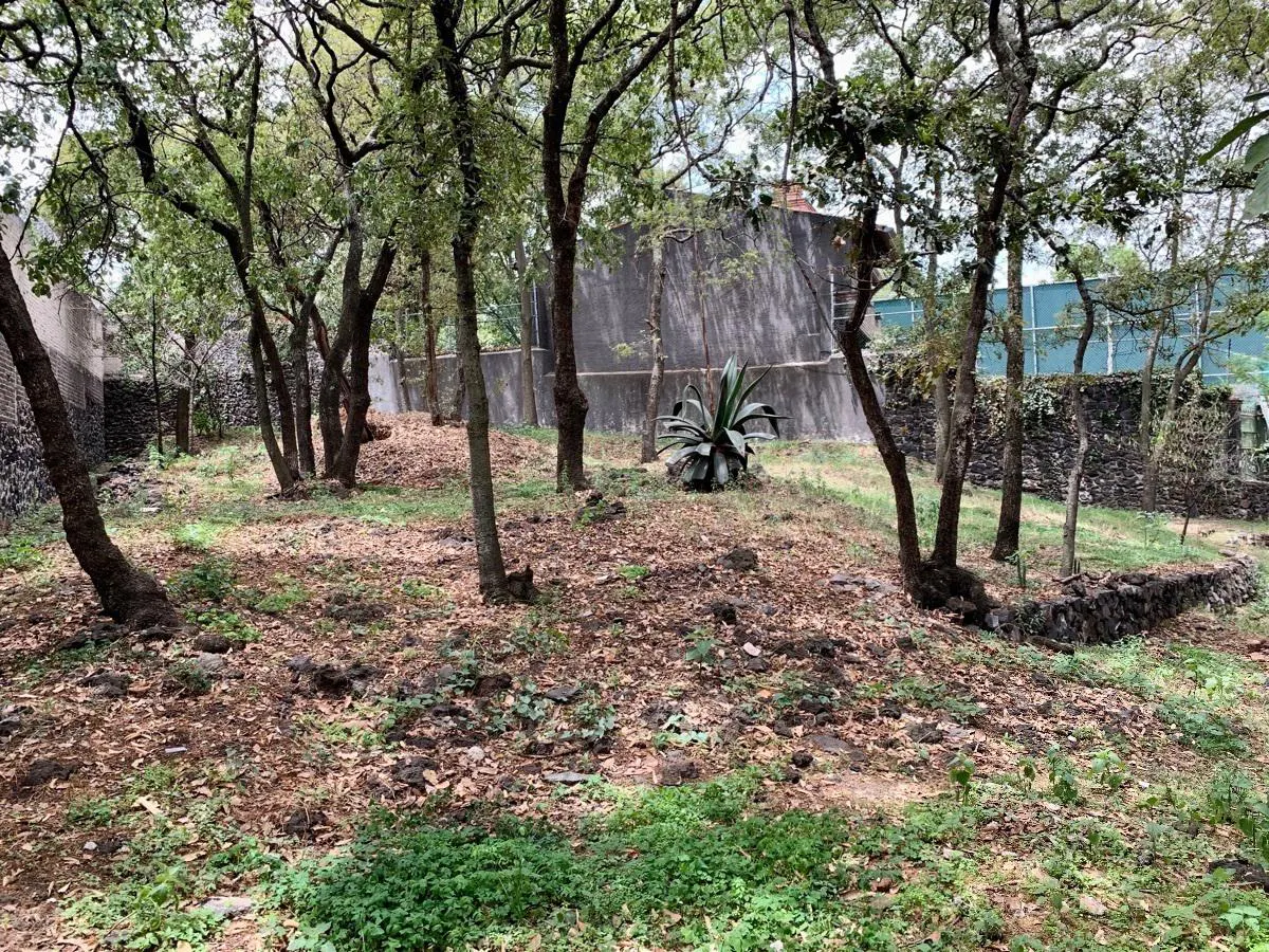 Terreno Spot2