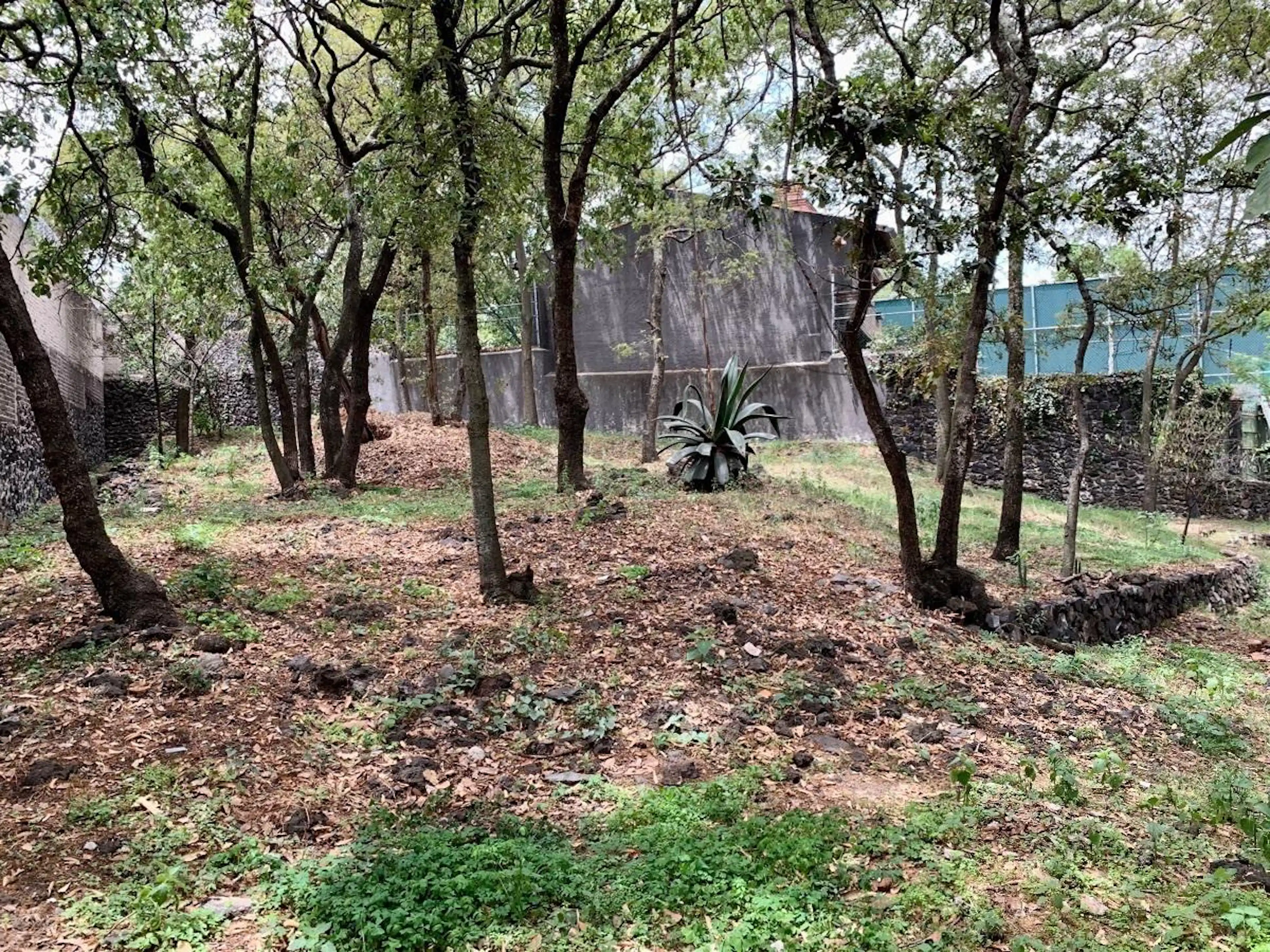 Venta De Terreno En Calle Cerrada Pichucalco, Jardines Del Ajusco, Tlalpan, Cdmx