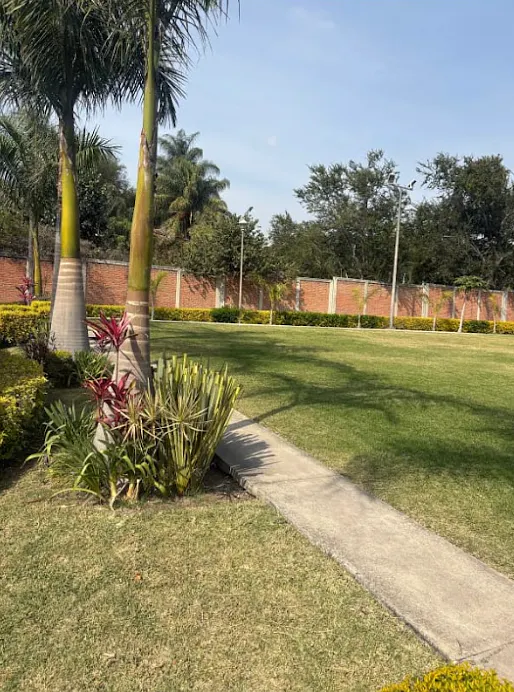 Terreno Spot2