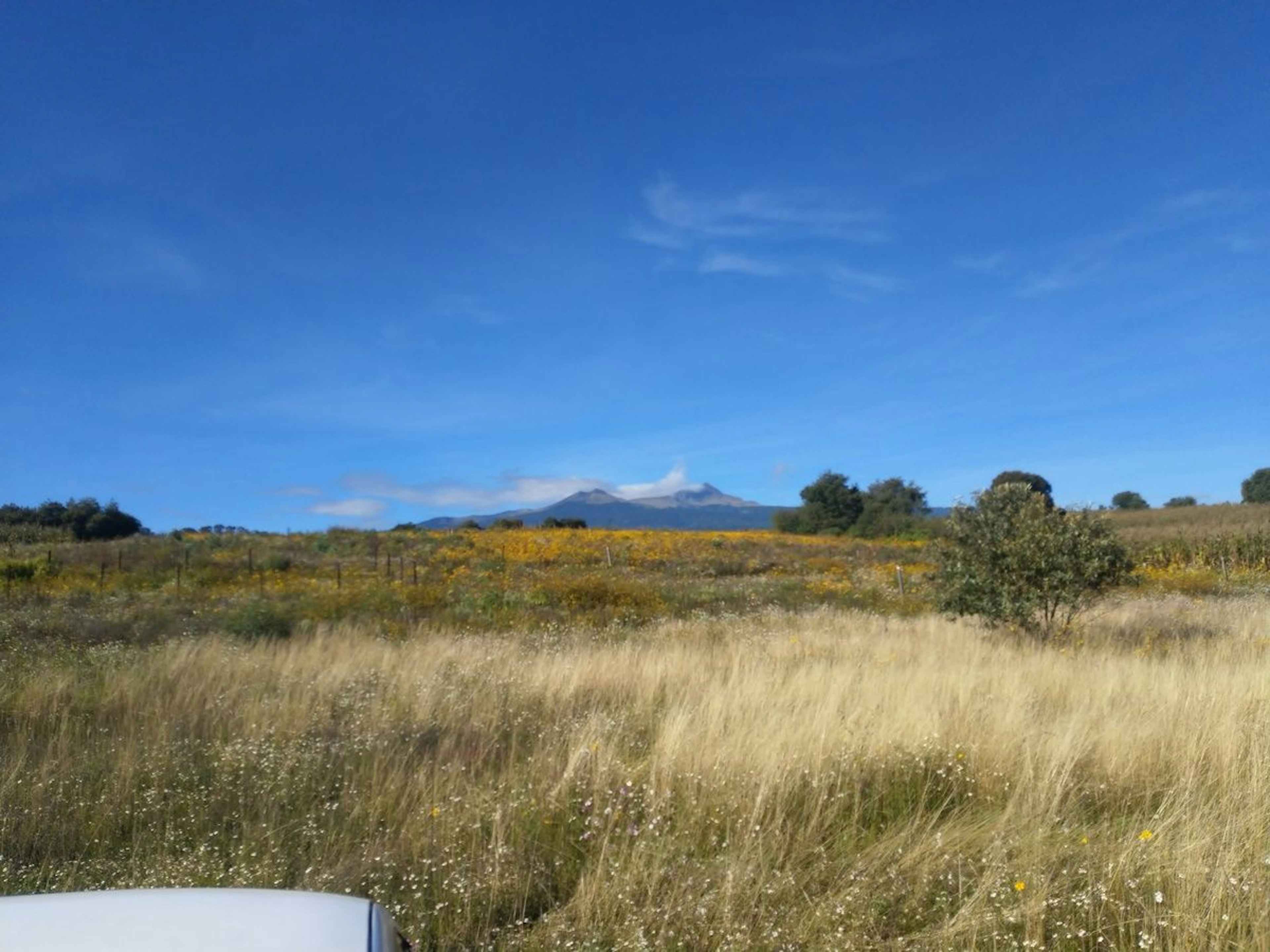 Terreno En Venta En Zacango, Edo. México