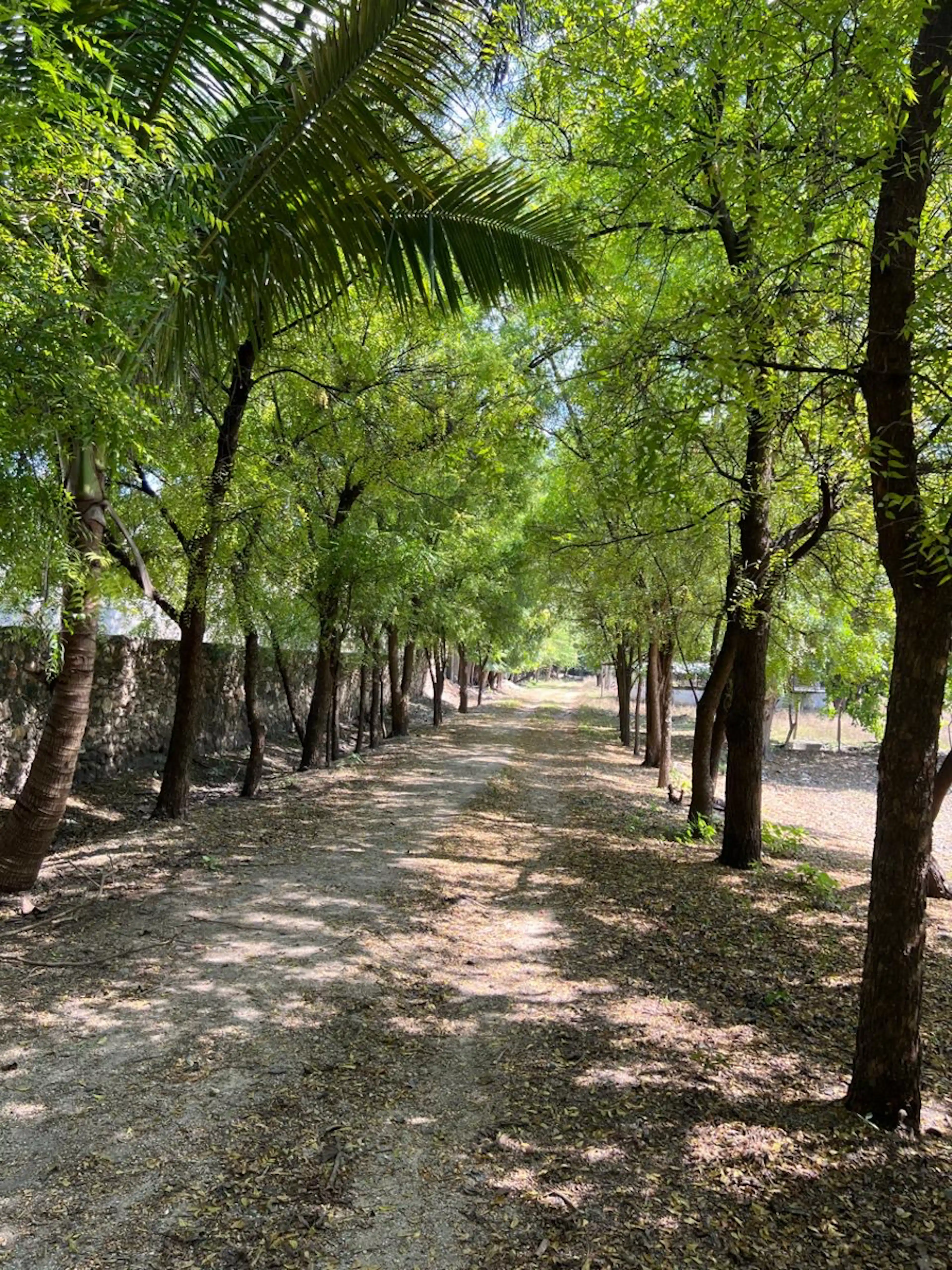 Terreno En Venta En Teran, Tuxtla Gutiérrez, Chiapas