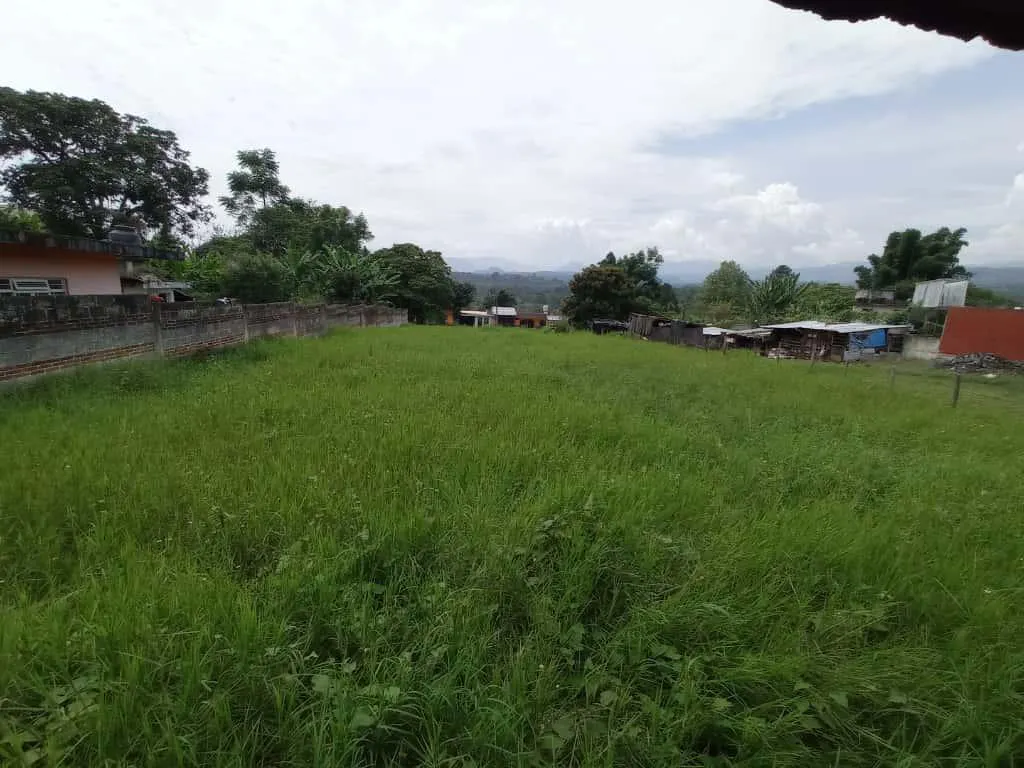 Terreno Spot2
