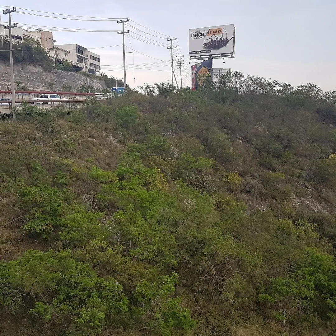 Terreno Spot2