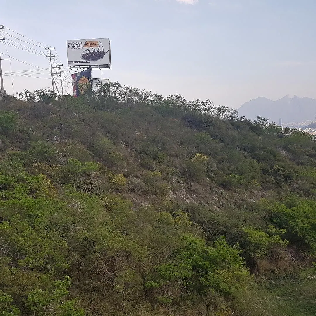 Terreno Spot2