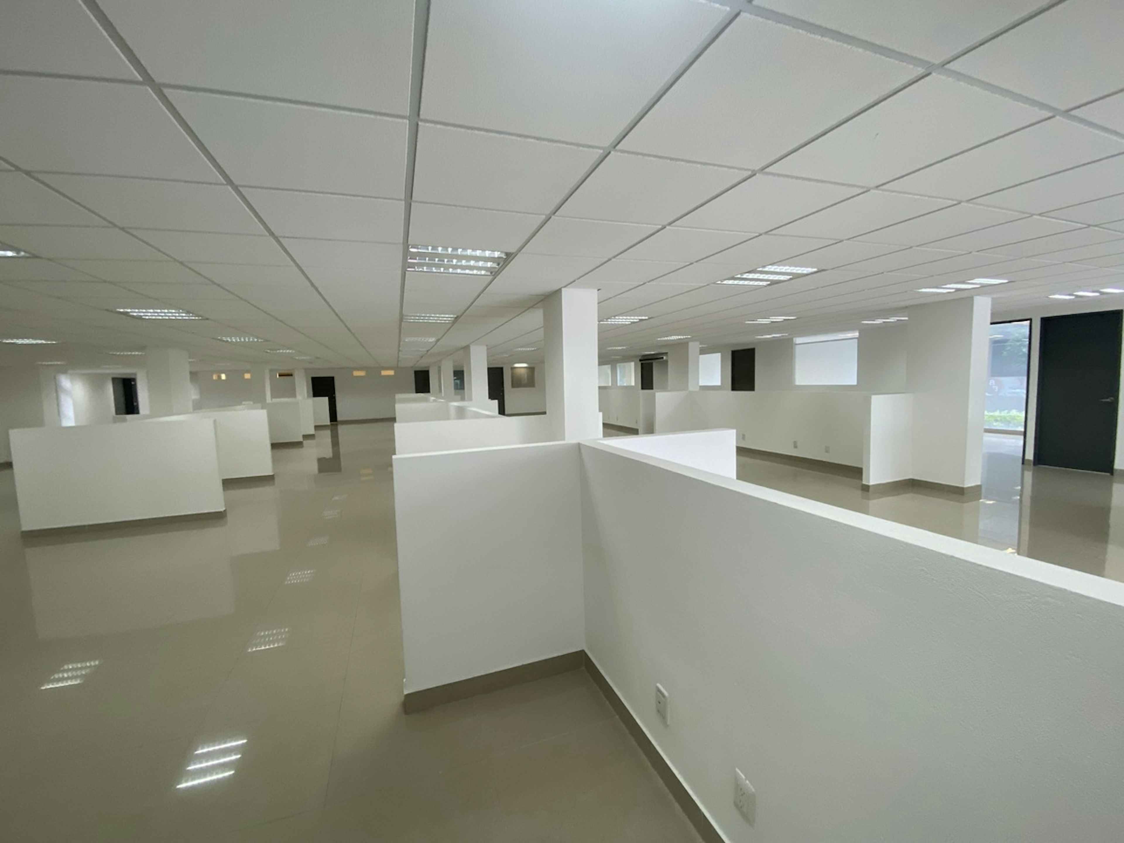 Avenida Insurgentes Sur