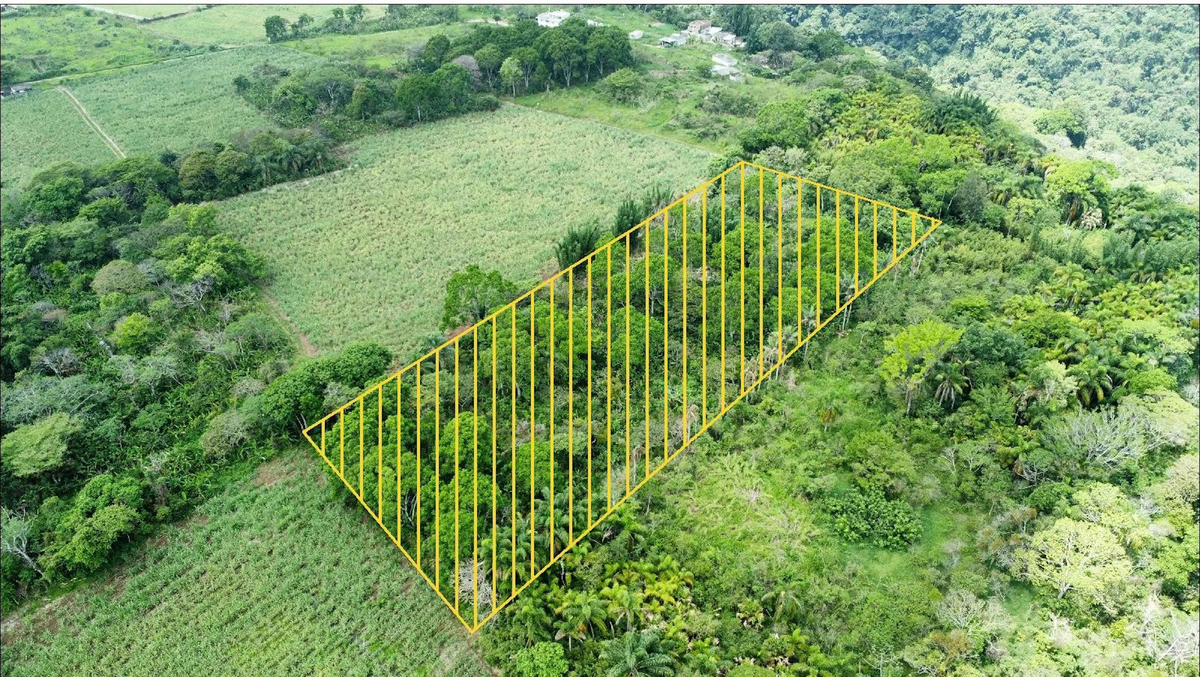 Camino A La Barranca