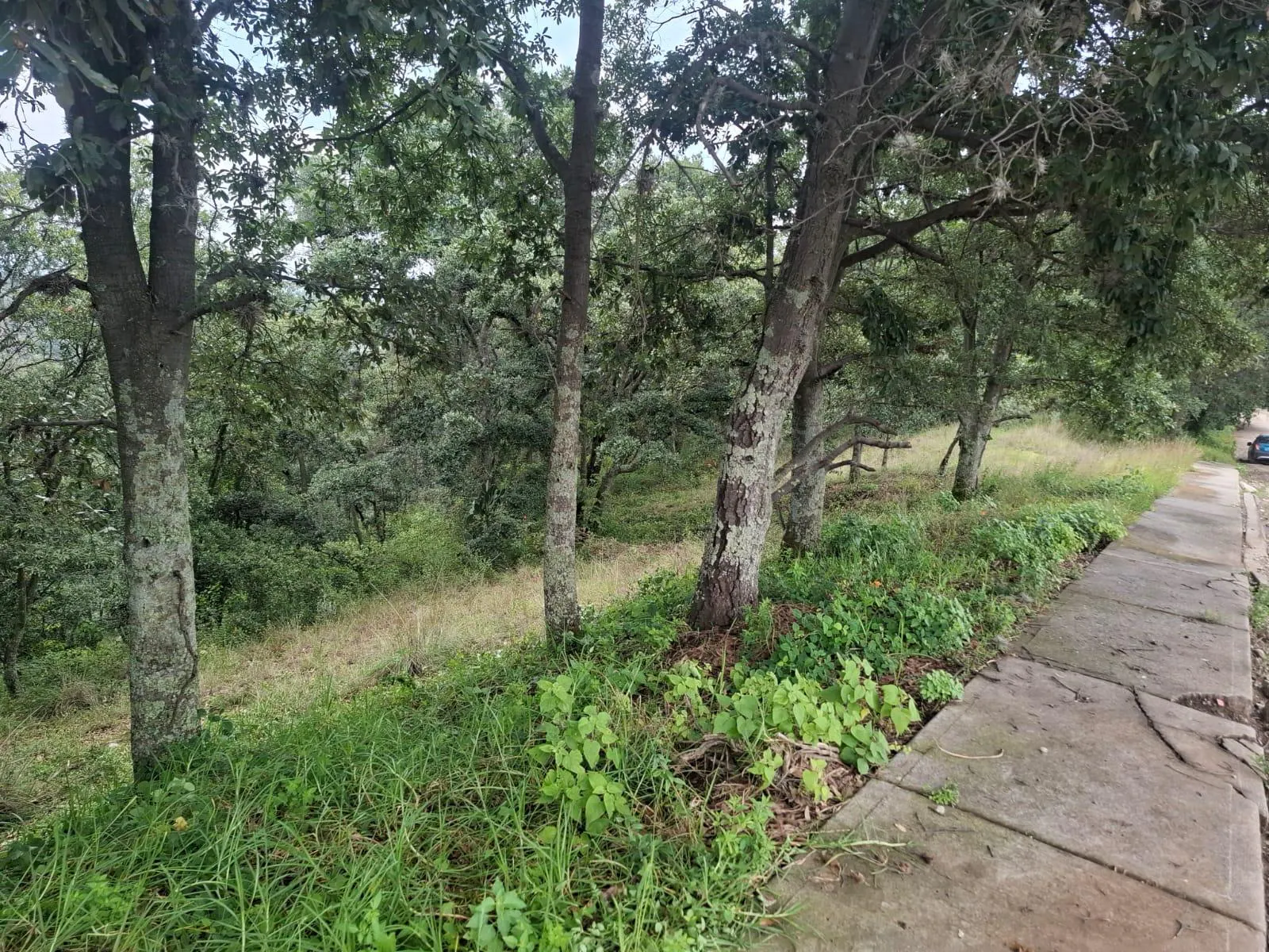 Terreno Spot2