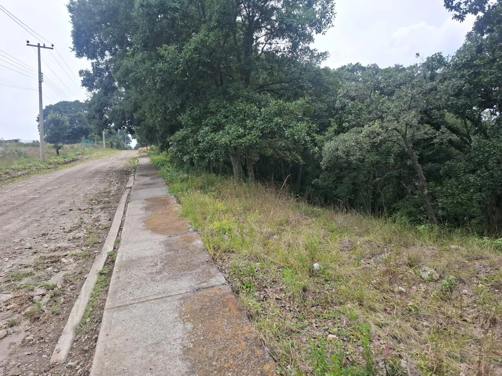 Terreno Spot2
