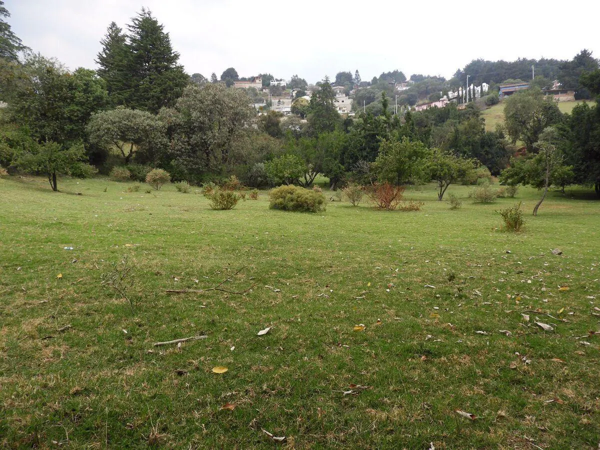 Terreno Spot2