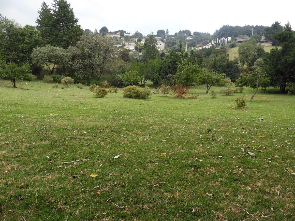 Terreno Spot2