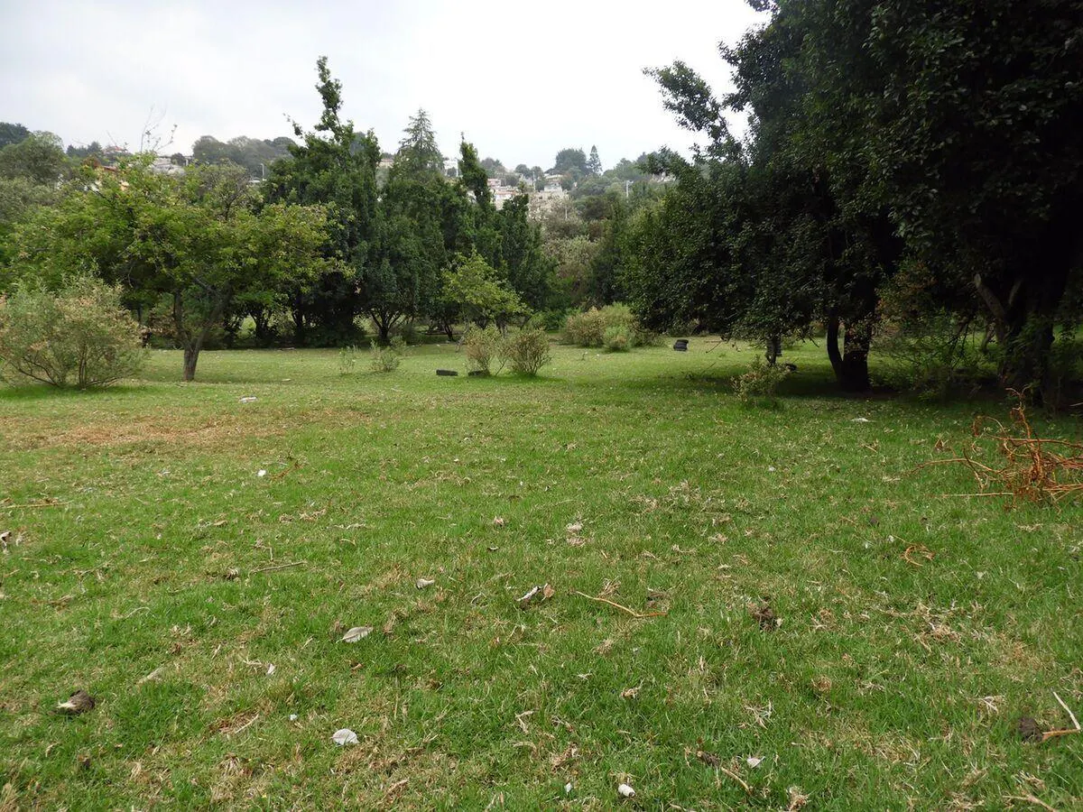 Terreno Spot2