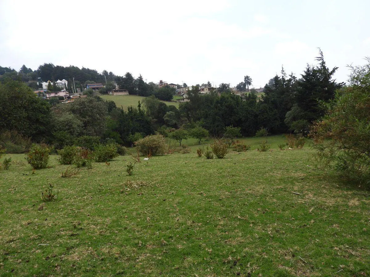 Terreno Spot2